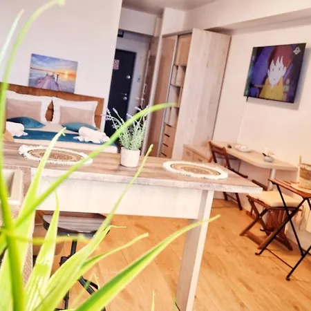 Mandala Studiouri Apartamente