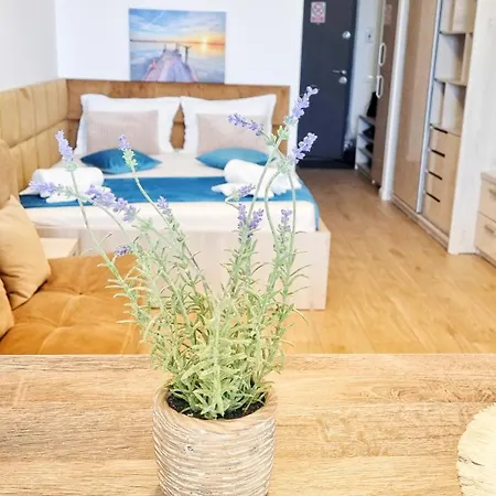 Mandala Studiouri Apartamente Eforie Nord