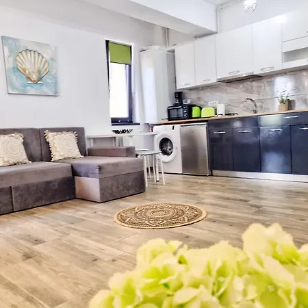 公寓 Mandala Studiouri 艾福雷诺德