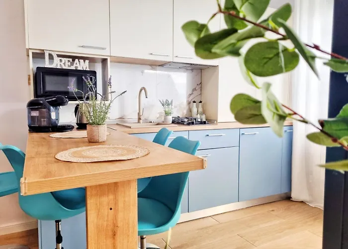 Mandala Studiouri 艾福雷诺德