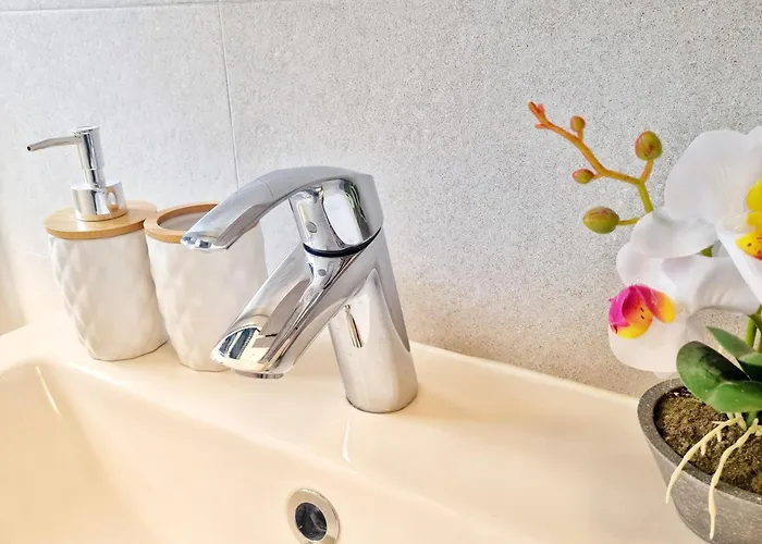 Mandala Studiouri * 艾福雷诺德