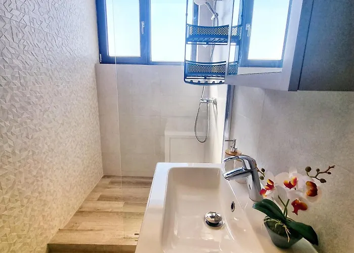 Mandala Studiouri 艾福雷诺德